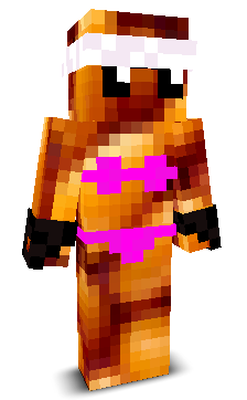 User's Minecraft appearance