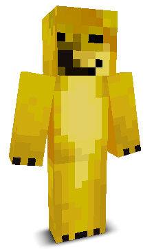 User's Minecraft appearance