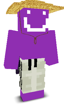 User's Minecraft appearance