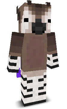User's Minecraft appearance