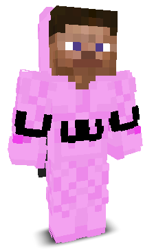 User's Minecraft appearance