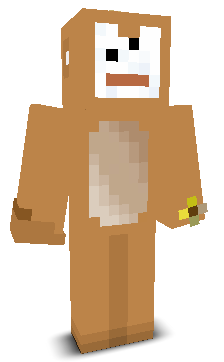 User's Minecraft appearance