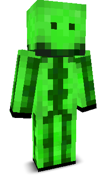 User's Minecraft appearance