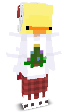 User's Minecraft appearance