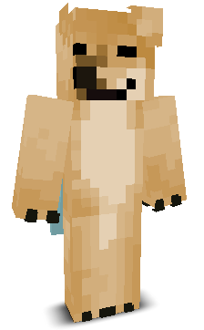 User's Minecraft appearance