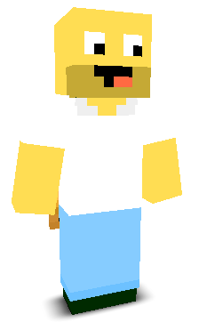 User's Minecraft appearance