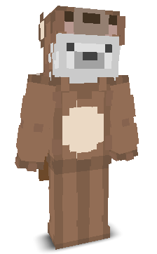 User's Minecraft appearance