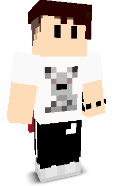 User's Minecraft appearance