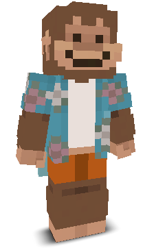 User's Minecraft appearance