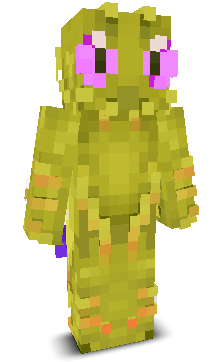 User's Minecraft appearance