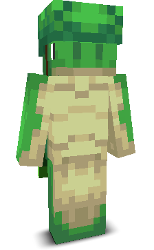 User's Minecraft appearance
