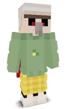 User's Minecraft appearance