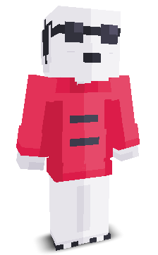 User's Minecraft appearance