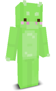 User's Minecraft appearance