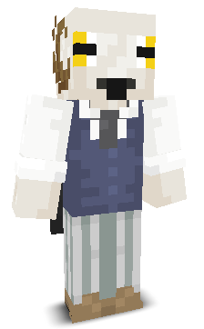 User's Minecraft appearance