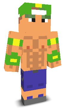 User's Minecraft appearance