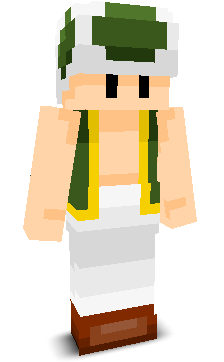 User's Minecraft appearance