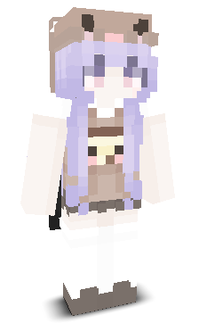 User's Minecraft appearance