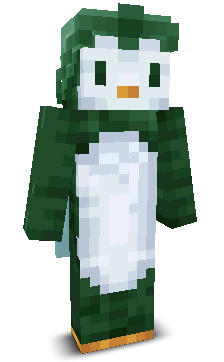 User's Minecraft appearance