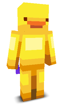 User's Minecraft appearance