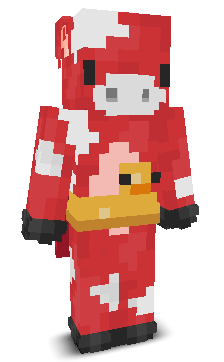 User's Minecraft appearance