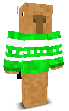 User's Minecraft appearance