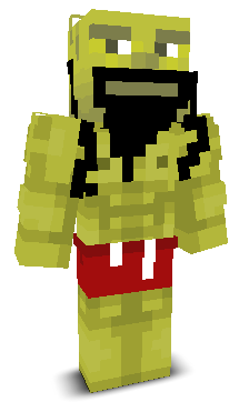 User's Minecraft appearance