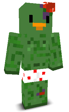 User's Minecraft appearance