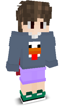 User's Minecraft appearance