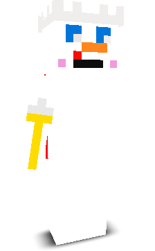 User's Minecraft appearance