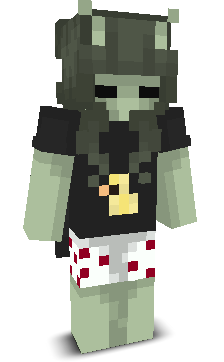 User's Minecraft appearance