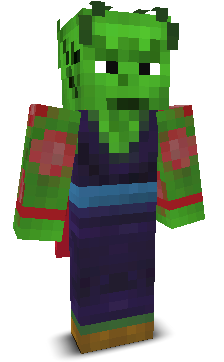 User's Minecraft appearance