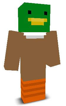 User's Minecraft appearance