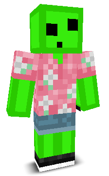 User's Minecraft appearance