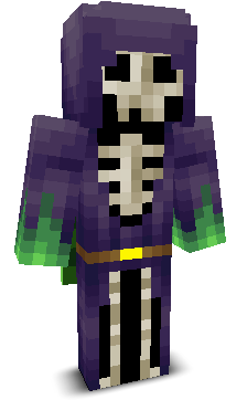 User's Minecraft appearance
