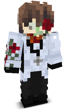 Skin gracza aleksy441