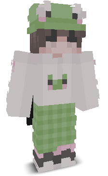 User's Minecraft appearance