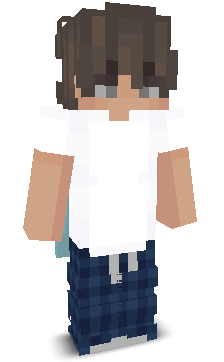 User's Minecraft appearance
