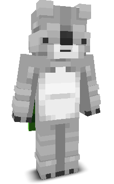 User's Minecraft appearance