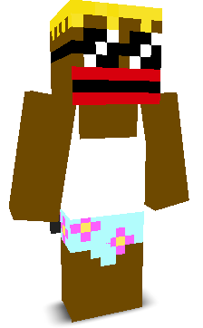 User's Minecraft appearance