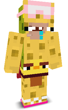 User's Minecraft appearance