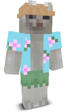 User's Minecraft appearance