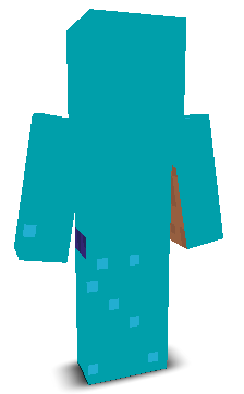 User's Minecraft appearance