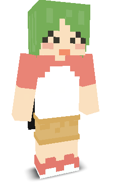 User's Minecraft appearance