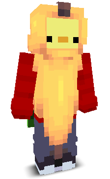 User's Minecraft appearance