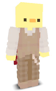 User's Minecraft appearance