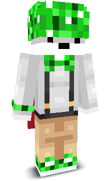 User's Minecraft appearance