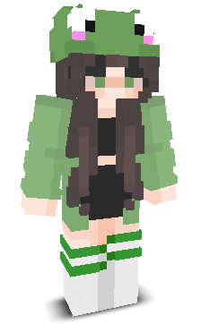 Skin gracza LisaYT