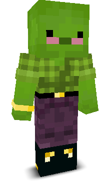 User's Minecraft appearance