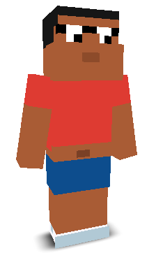 User's Minecraft appearance